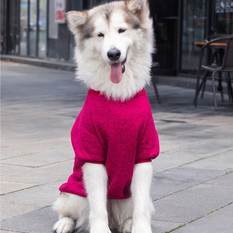 Suéter de verano para perros medianos y grandes + envío gratis