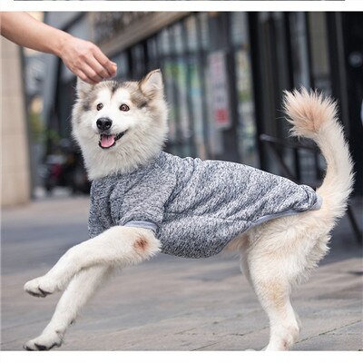 Suéter de verano para perros medianos y grandes + envío gratis
