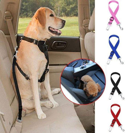 Cinturón de auto para mascotas
